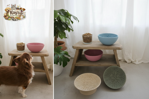 Swirl Lick Bowl for Calm, Slow Eating